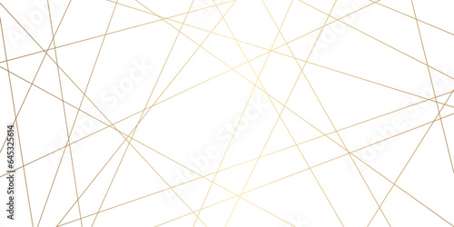 Luxury premium golden and black random chaotic wave lines abstract background. Vector, illustration 