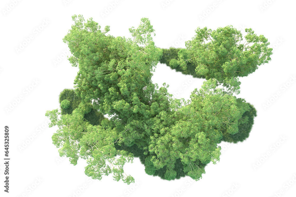 Realistic forest isolated on transparent background. 3d rendering - illustration Realistic forest isolated on transparent background. 3d rendering - illustration