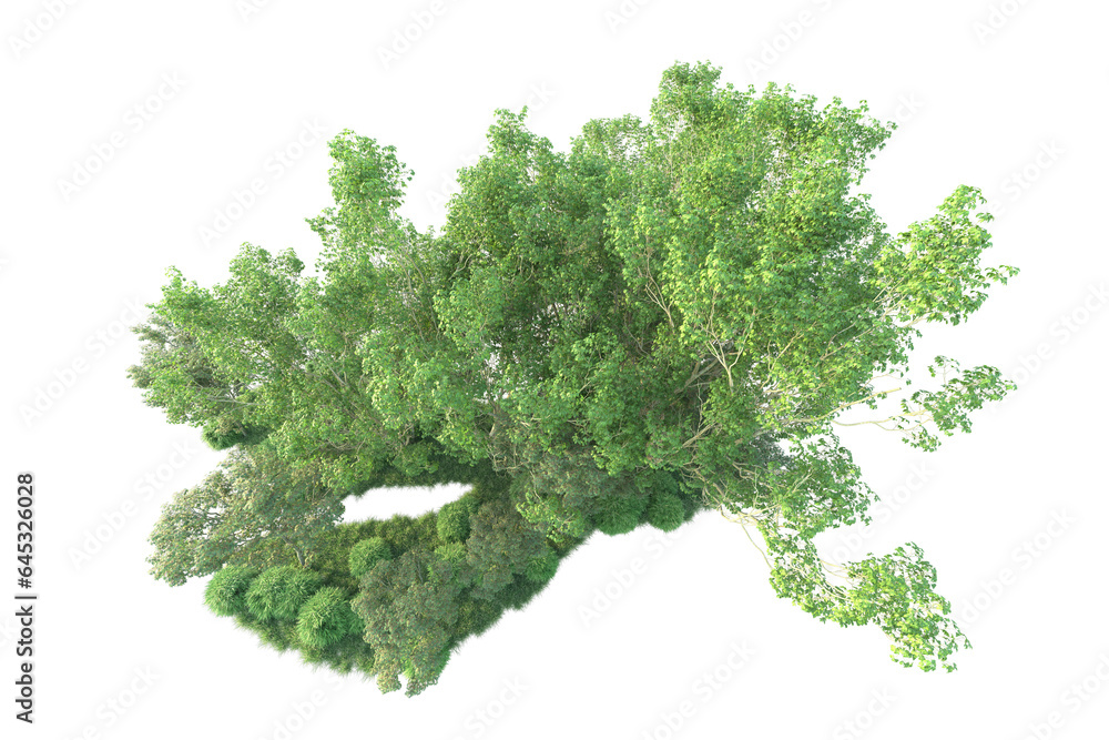 Obraz premium Realistic forest isolated on transparent background. 3d rendering - illustration