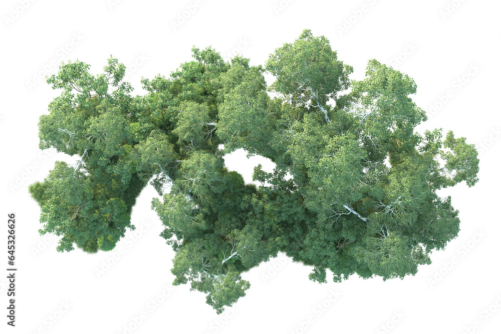 Realistic forest isolated on transparent background. 3d rendering - illustration Realistic forest isolated on transparent background. 3d rendering - illustration