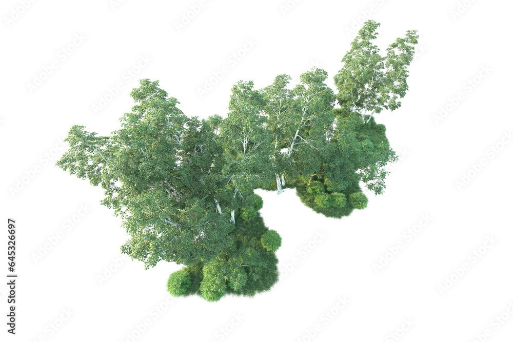 Realistic forest isolated on transparent background. 3d rendering - illustration Realistic forest isolated on transparent background. 3d rendering - illustration