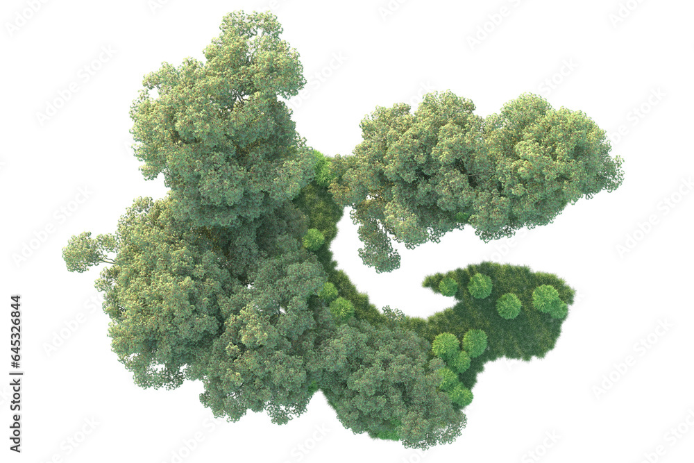 Realistic forest isolated on transparent background. 3d rendering - illustration Realistic forest isolated on transparent background. 3d rendering - illustration