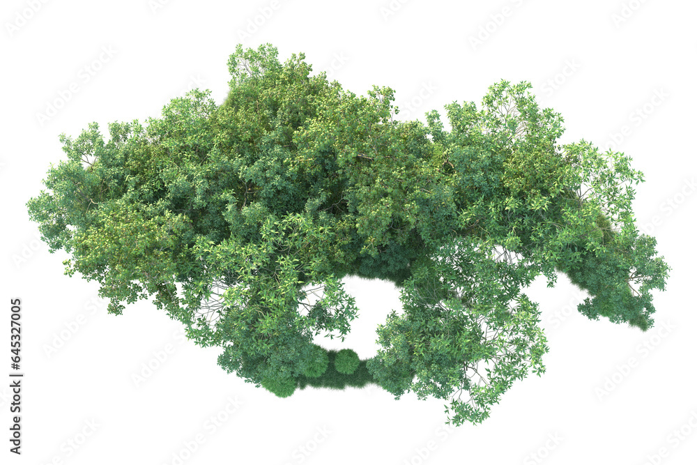 Obraz premium Realistic forest isolated on transparent background. 3d rendering - illustration