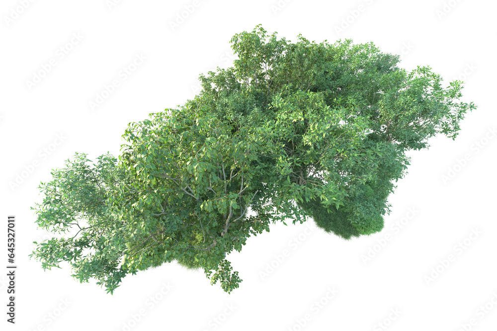 Obraz premium Realistic forest isolated on transparent background. 3d rendering - illustration