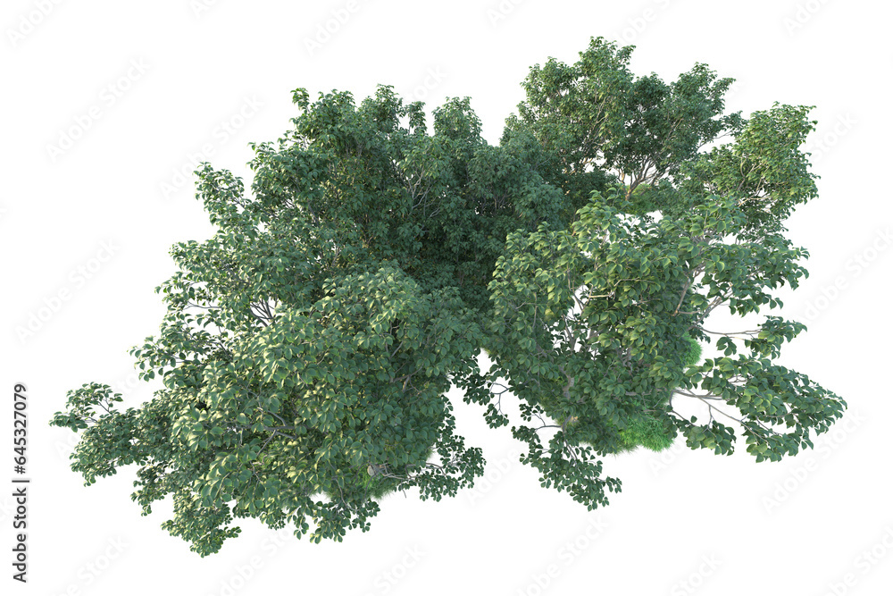 Obraz premium Realistic forest isolated on transparent background. 3d rendering - illustration