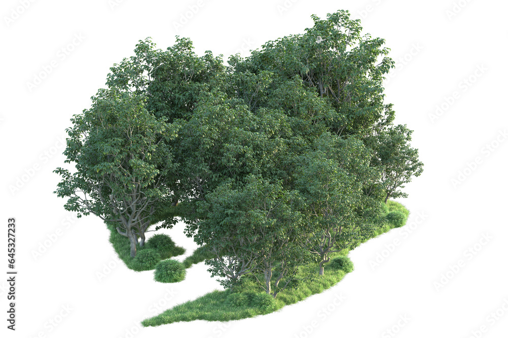 Realistic forest isolated on transparent background. 3d rendering - illustration Realistic forest isolated on transparent background. 3d rendering - illustration