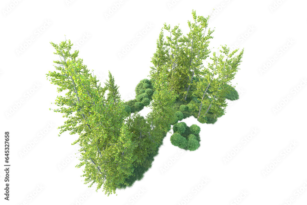 Fototapeta premium Realistic forest isolated on transparent background. 3d rendering - illustration