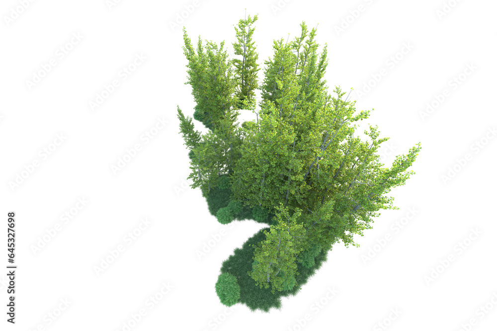 Realistic forest isolated on transparent background. 3d rendering - illustration Realistic forest isolated on transparent background. 3d rendering - illustration