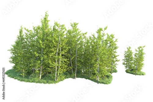 Fototapeta Naklejka Na Ścianę i Meble -  Realistic forest isolated on transparent background. 3d rendering - illustration