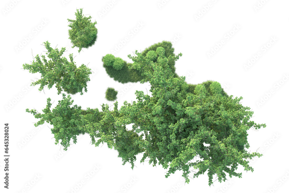Fototapeta premium Realistic forest isolated on transparent background. 3d rendering - illustration