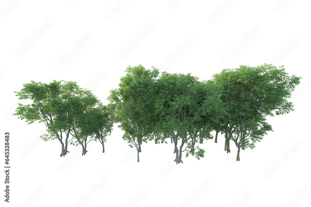Fototapeta premium Realistic forest isolated on transparent background. 3d rendering - illustration