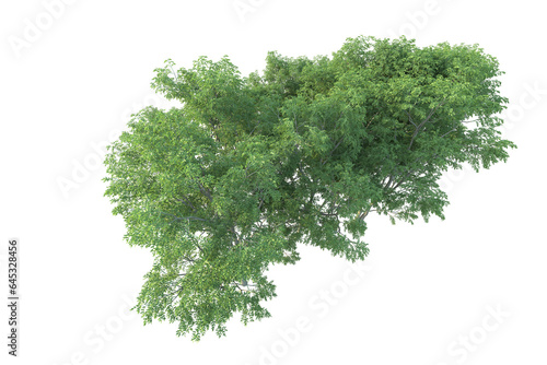 Fototapeta Naklejka Na Ścianę i Meble -  Realistic forest isolated on transparent background. 3d rendering - illustration