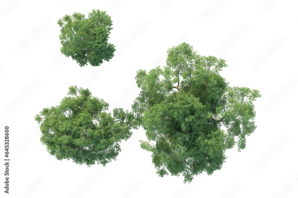 Realistic forest isolated on transparent background. 3d rendering - illustration Realistic forest isolated on transparent background. 3d rendering - illustration