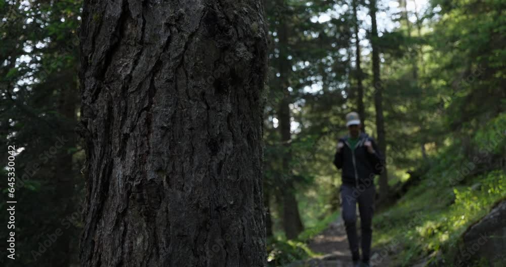 A Man With Backpack Trekking In Forest Trails During Summer. Rack Focus Shot A Man With Backpack Trekking In Forest Trails During Summer. Rack Focus Shot