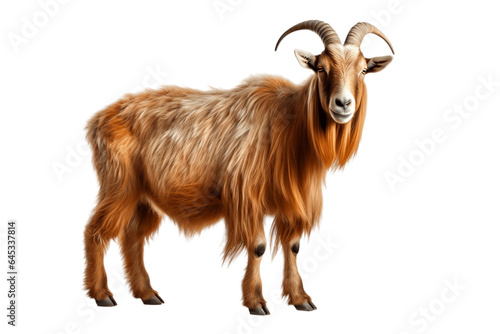 Graceful Goat Isolated on a Transparent PNG Background. Generative Ai