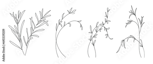 Set of minimalist botanical line elegant leaves branch