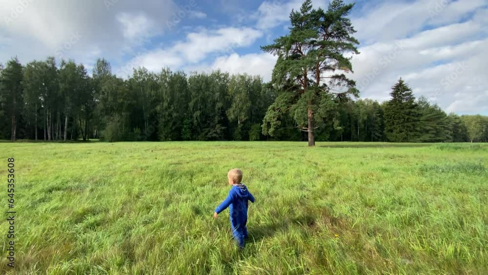 toddler child cute little boy playing on green lawn in summer forest toddler child cute little boy playing on green lawn in summer forest