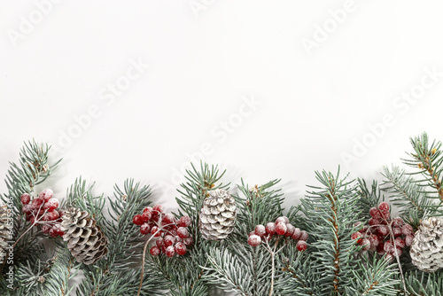 Christmas card with fir branches, viburnum berries covered with hoarfrost. Copy space