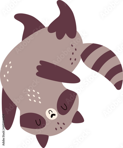 Playing Raccoon Animal