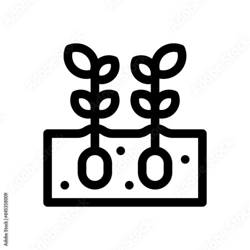 potato line icon