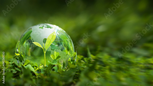 The crystal globe was placed on the grass with a tree in the middle. for the environment Society and Governance Sustainable global environment concept.