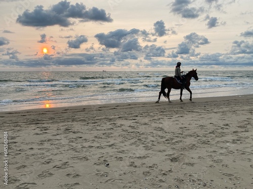horse and rider on a beach