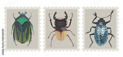 Postal stamp set with bugs. Three post stamps with various beetles. Vector isolated illustration. Philatelic and entomologic concept.