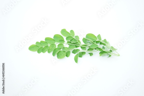 Moringa leaves on white background , vegan food