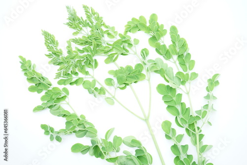 Moringa leaves on white background, vegan veg
