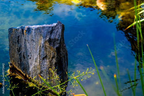 Fotografie A stone in the pond water on an autumn day.