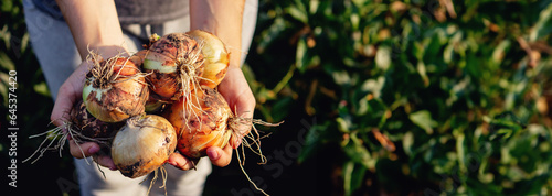 the farmer girl holds an onion in her hands. Selective focus