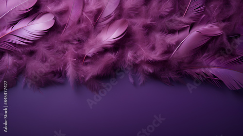  close up beautiful feathers background