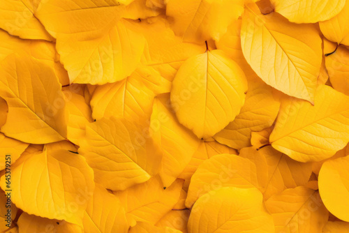 Autumn's Gilded Carpet: Yellow Leaves Texture