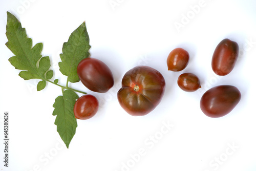 Freshly picked organic brown tomatoes with branches of green leaves on a white background. Various varieties and shapes of tomatoes