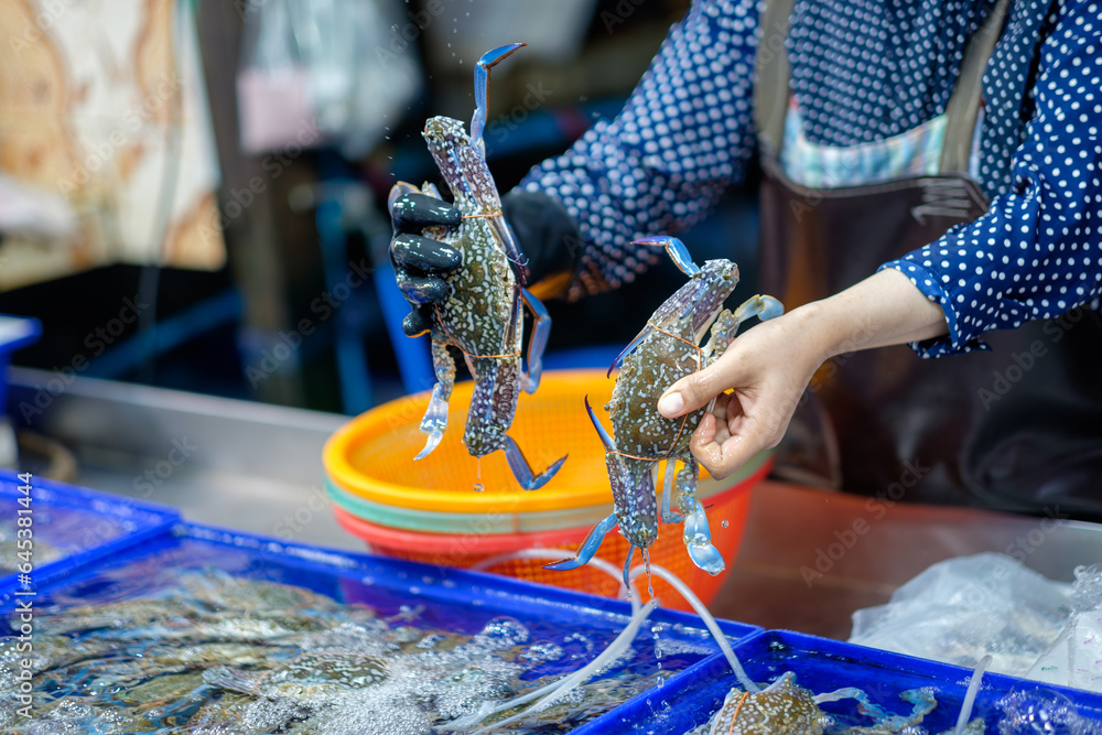 Merchant holding 2 Live Blue crab for sell in seafood market Thailand