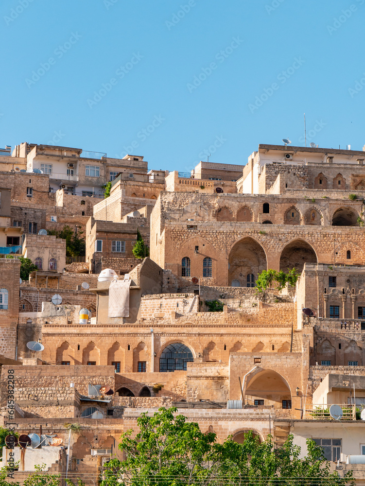 Traditional stone houses in Mardin, Turkey on a sunny afternoon - Portrait shot