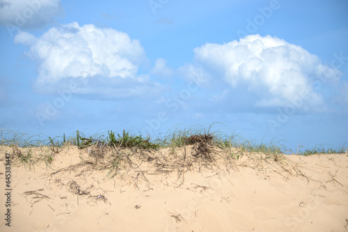 Sand dune with grass and a blue sky with clouds.