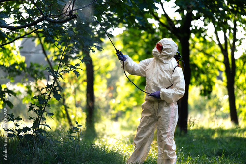 A worker sprays pesticides on trees outdoors, close-up. Pest control