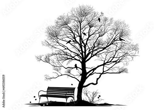Bench in park. Vector illustration with silhouettes of a tree, birds and a bench. Autumn nature image.