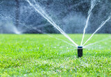 Irrigation system in home garden. Automatic watering lush green lawn. Selective focus