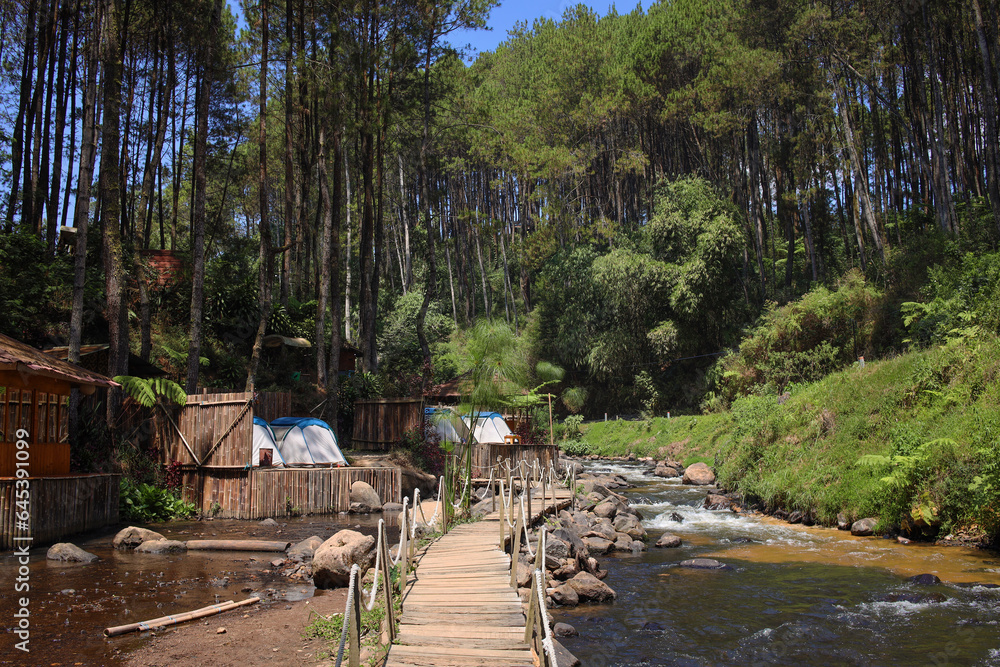 Beautiful camping site on mountain and wilderness, near river with wooden bridge. Adventure travel vacation concept Beautiful camping site on mountain and wilderness, near river with wooden bridge. Adventure travel vacation concept