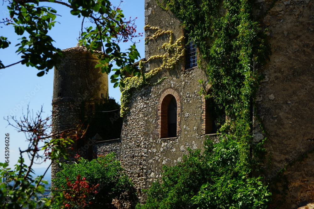 Roccantica castle detail view with ivy on the wall, Rieti, Lazio, Italy
