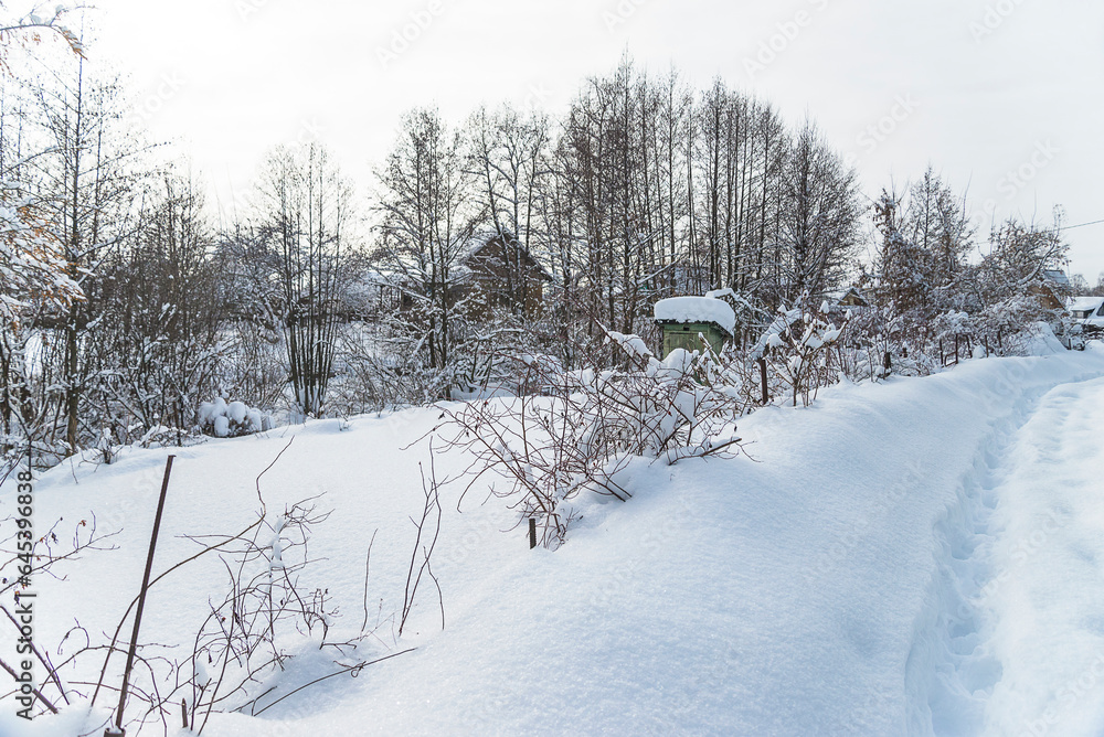 Winter landscape with snowy tree on sunny day Winter landscape with snowy tree on sunny day
