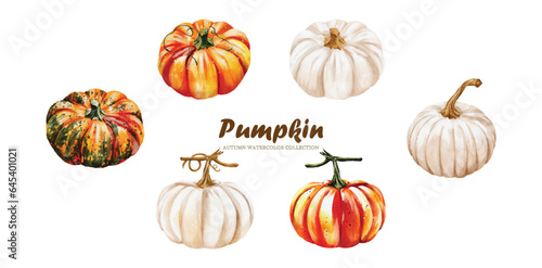 Collection Watercolor of Pumpkins vector design