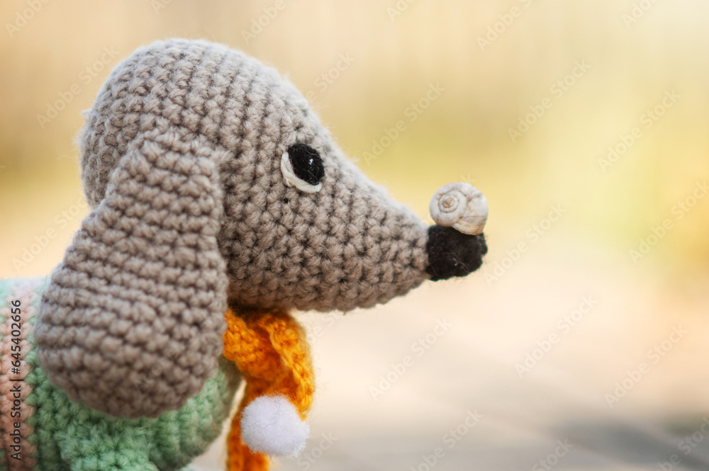 Obraz premium cute photos of the adventure of a toy dachshund dog
