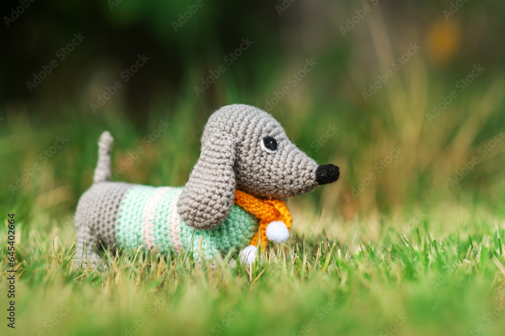 Obraz premium cute photos of the adventure of a toy dachshund dog