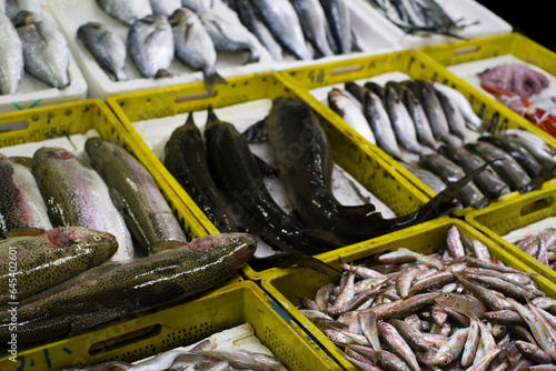 Fresh fish on ice or in boxes on a market counter photo