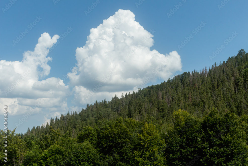 Mountain landscape Mountain landscape