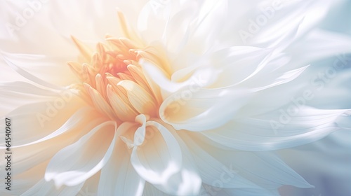  a close up of a white flower with a blurry background.  generative ai © Shanti