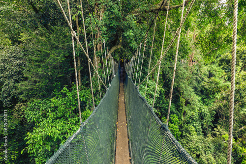 Foto Canopy walkway at National Kinabalu Park, Taman Negara Kinabalu, in Sabah, Malay